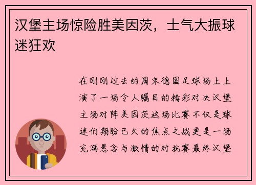汉堡主场惊险胜美因茨，士气大振球迷狂欢